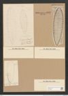 Surirella saxonica Auersw. (de-Toni-Nr.: Genus 53, Species 2217) Zeichnungen Sammlung Grunow Nr. 4632 (NHMW-BOT-W0372685)